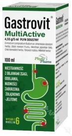 Gastrovit MultiActive (Artecholin N), płyn doustny, 100ml
