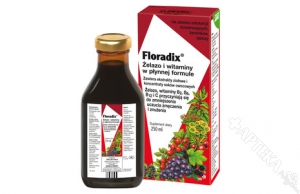 FLORADIX, Żelazo i witaminy, tonik, 250ml